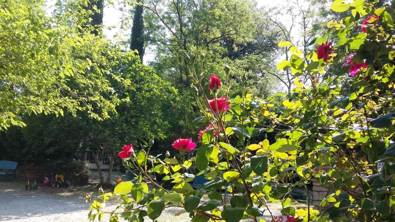 Agriturismo Alle Rose Volterra Zewnętrze zdjęcie