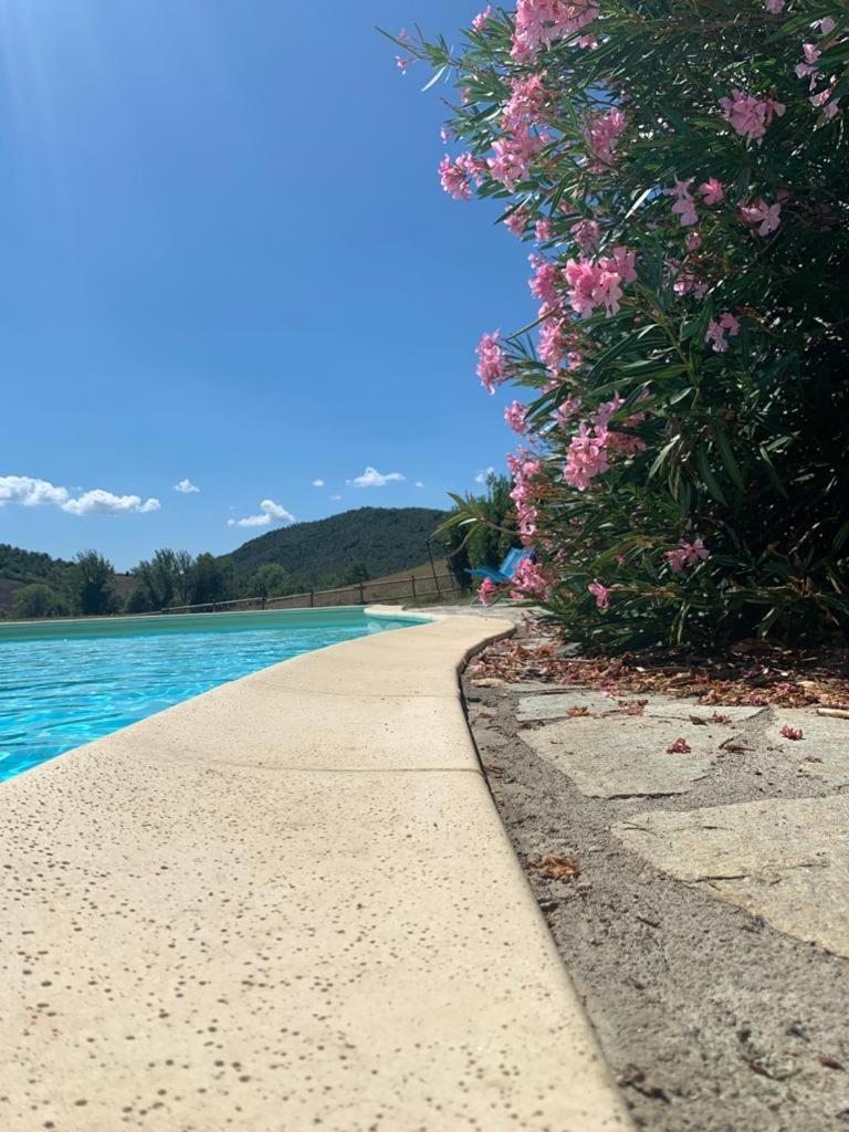 Agriturismo Alle Rose Volterra Zewnętrze zdjęcie