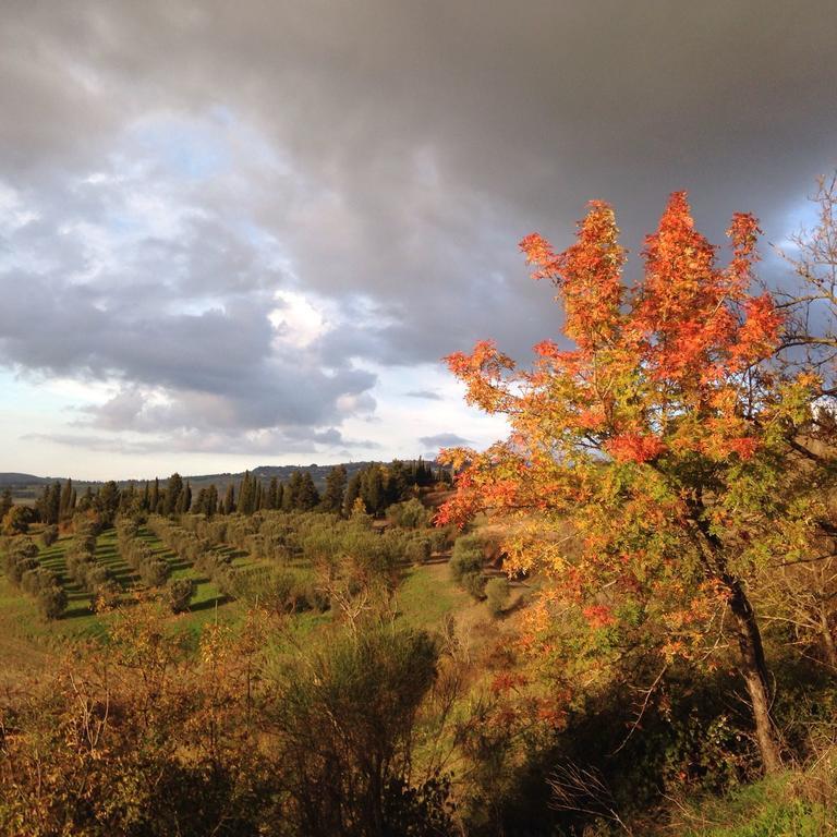 Agriturismo Alle Rose Volterra Zewnętrze zdjęcie