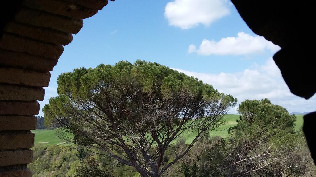 Agriturismo Alle Rose Volterra Zewnętrze zdjęcie