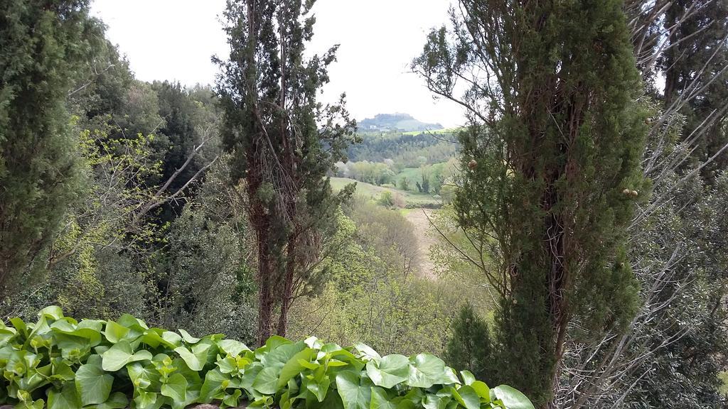 Agriturismo Alle Rose Volterra Zewnętrze zdjęcie