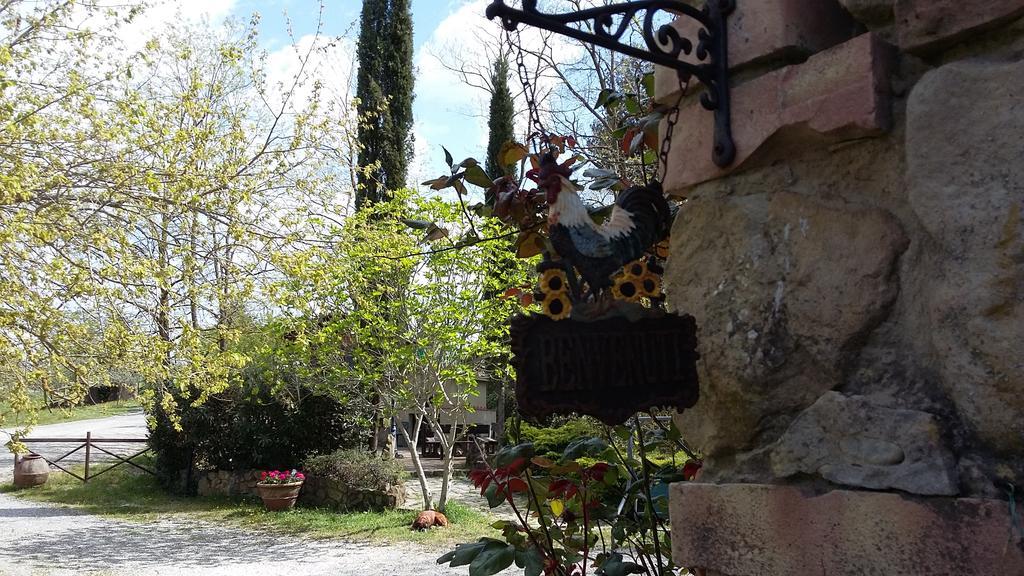 Agriturismo Alle Rose Volterra Zewnętrze zdjęcie